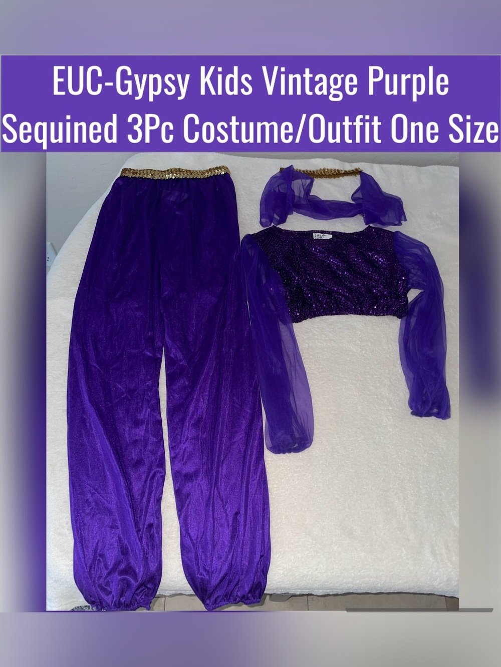 EUC-Gypsy Kids Vintage Purple Sequined 3Pc Costume/Outfit One Size